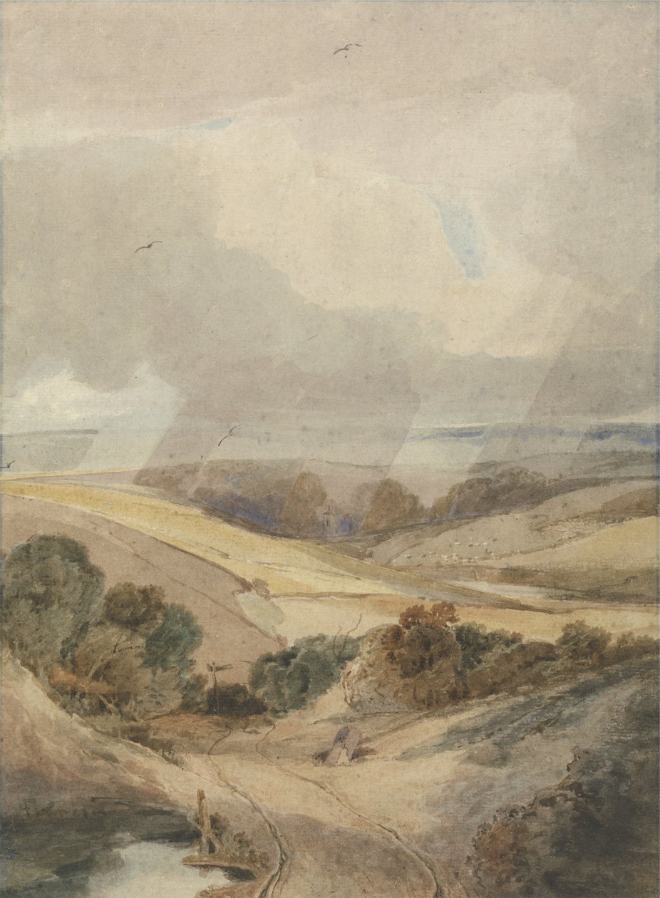 Mousehold Heath, Norwich, 1808 (döşemiş kağıt üzerinde wc) by Francois Louis Thomas Francia