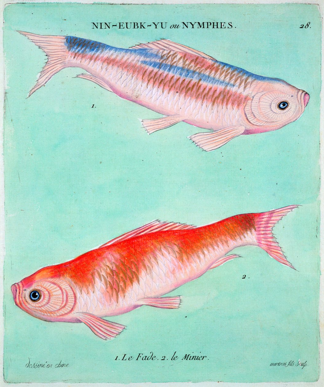 Çin Japon balığı, 18. yüzyıl by Francois Nicolas Martinet