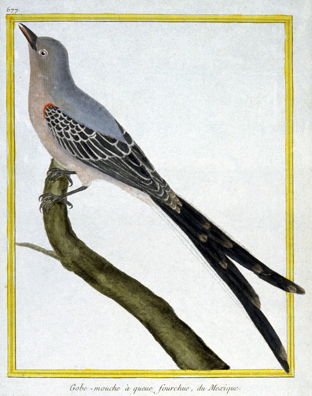 sinekler by Francois Nicolas Martinet