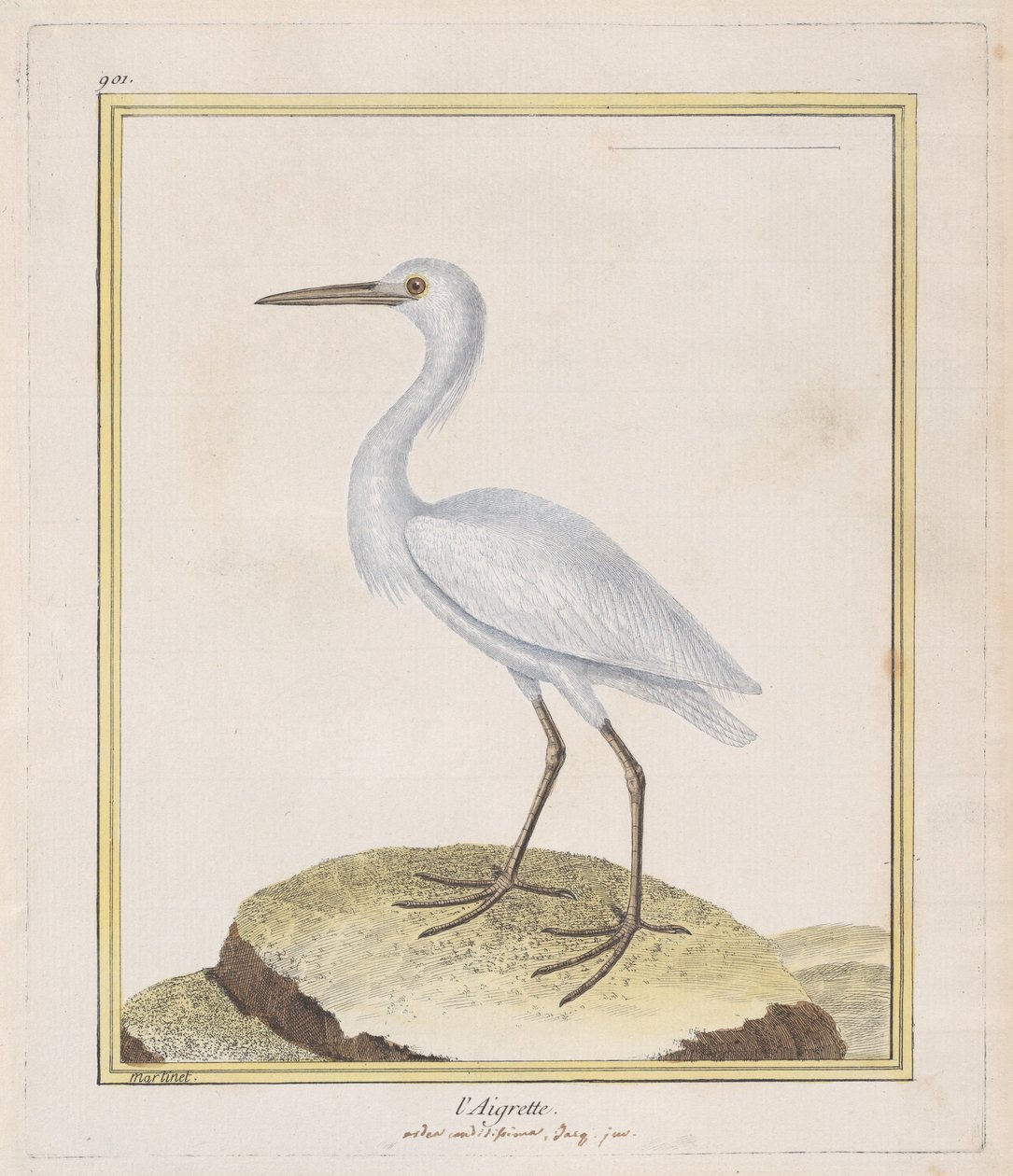Ak balıkçıl, 1770-86. by Francois Nicolas Martinet