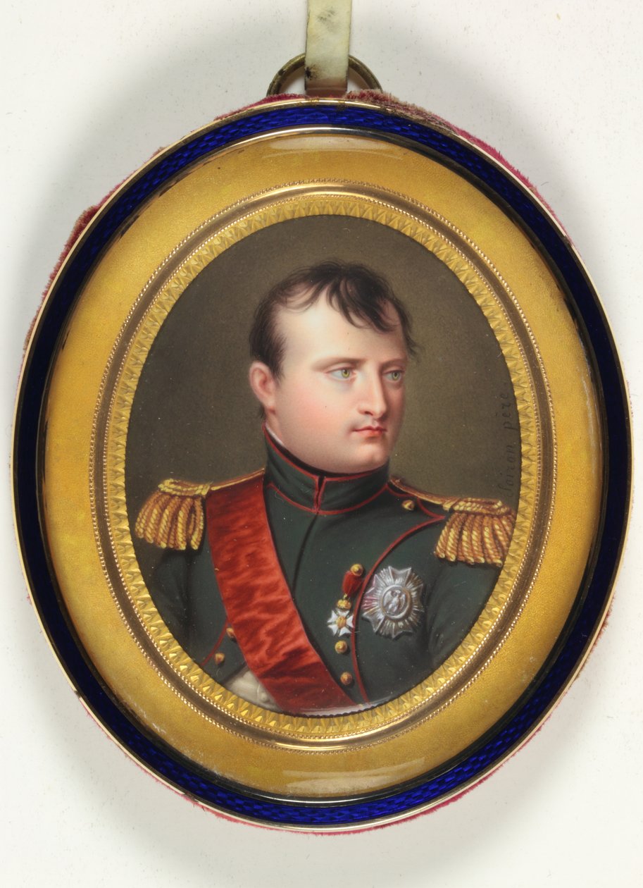 Napolyon I by Francois Soiron