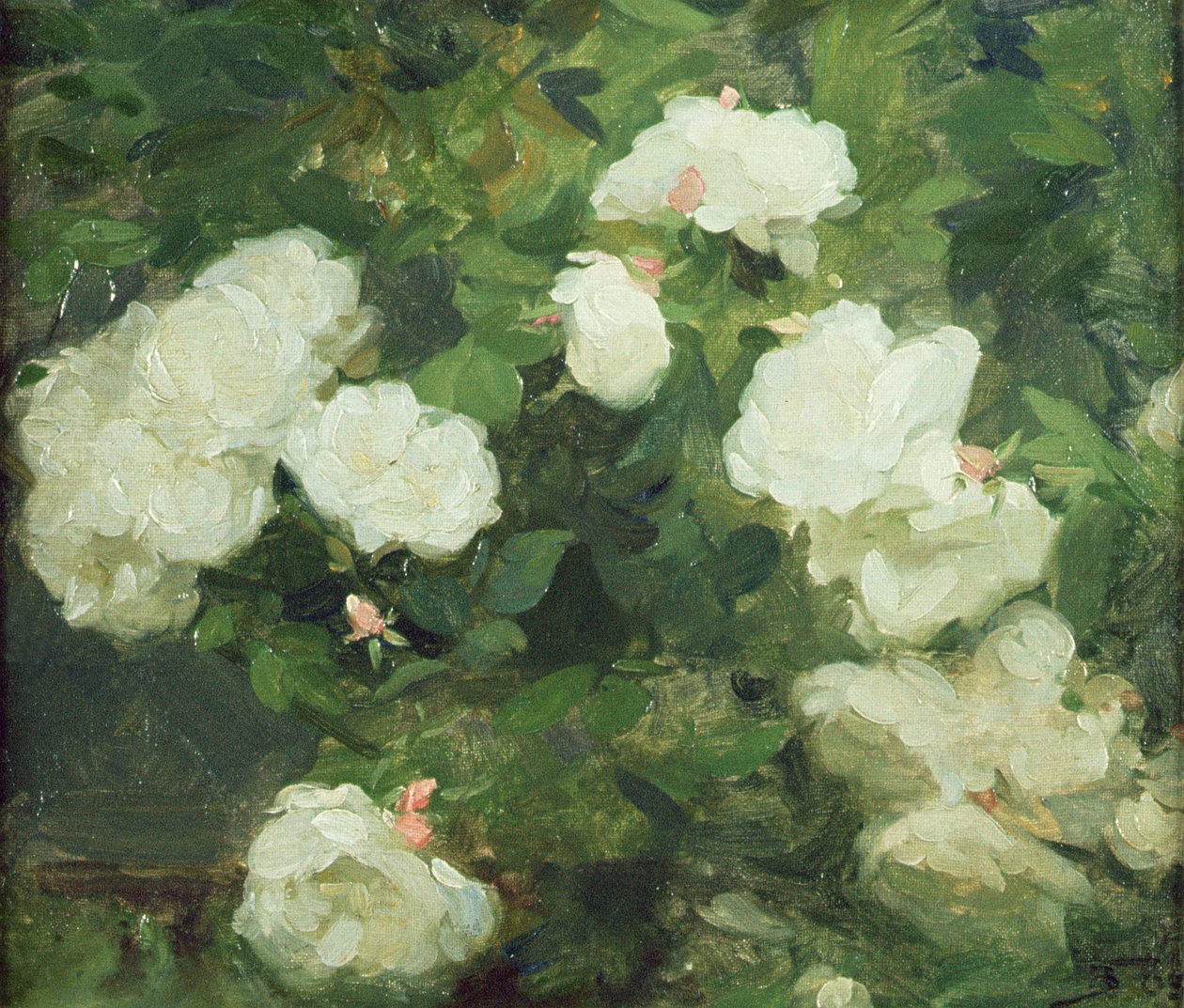 Beyaz güller by Frank Bramley