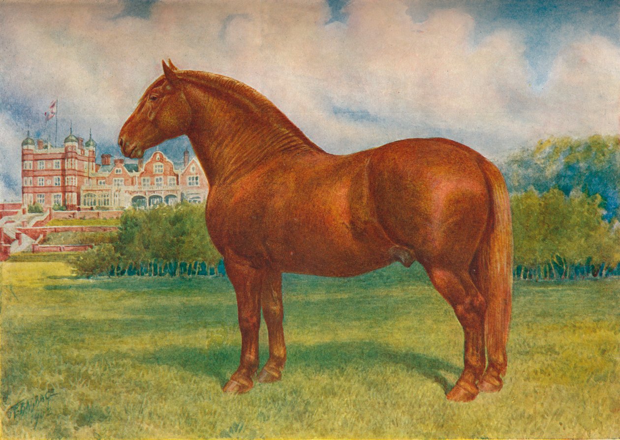 Suffolk
