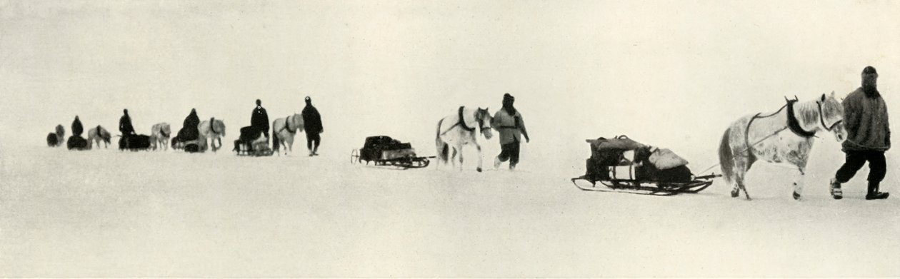 Mart 1911, 1913