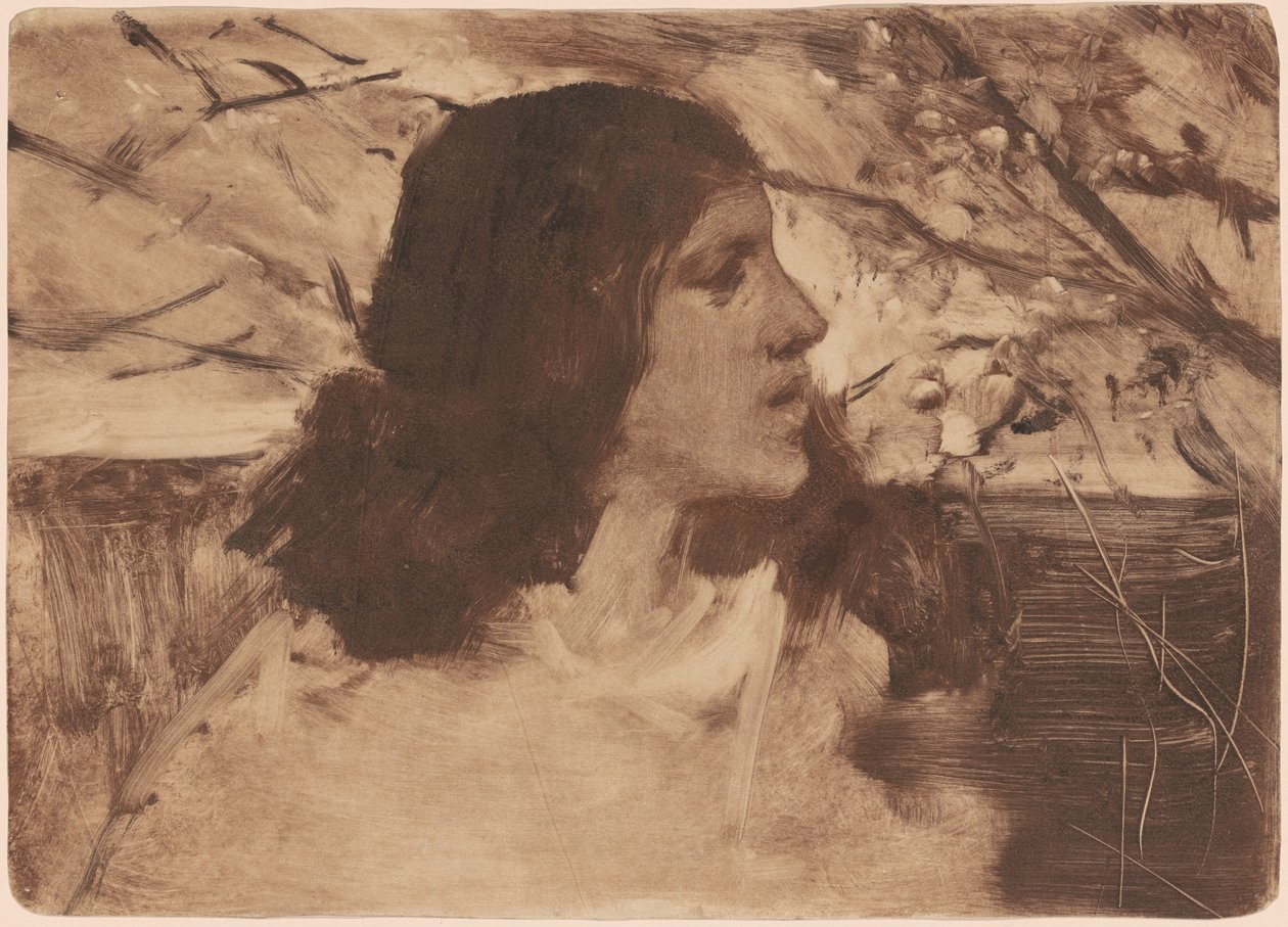Bir Kadının Başı by Frank Duveneck