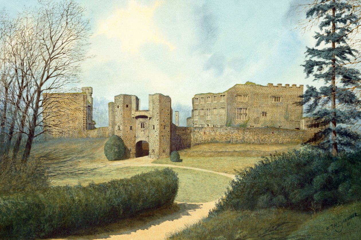 Berry Pomeroy Kalesi, 15. yüzyıl, 1990-2010 by Frank Gardiner
