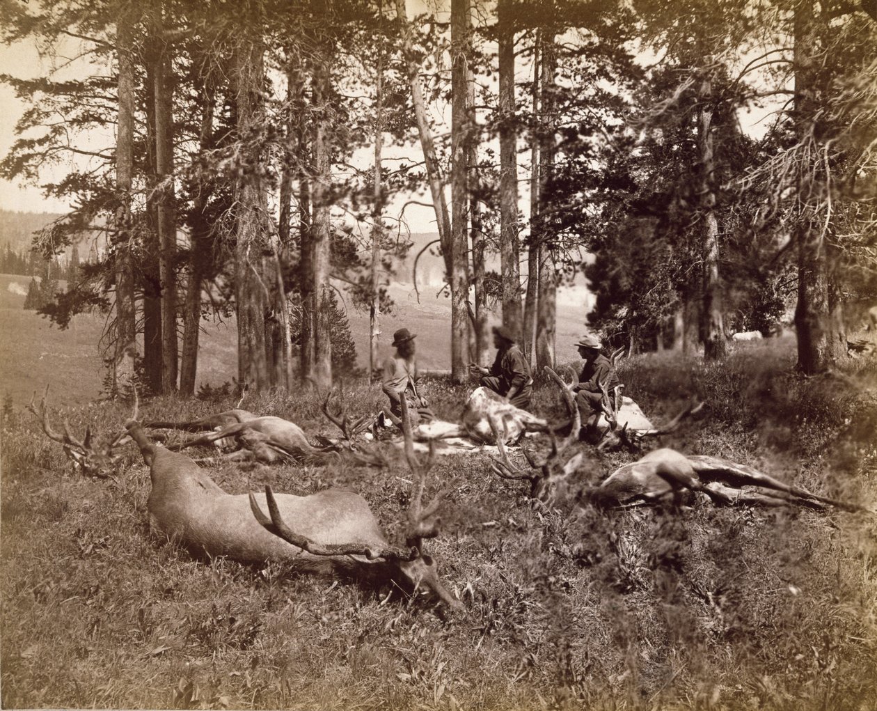 Elk Hunters, Yellowstone, c.1880 (albüm gümüş baskı) by Frank Jay Haynes