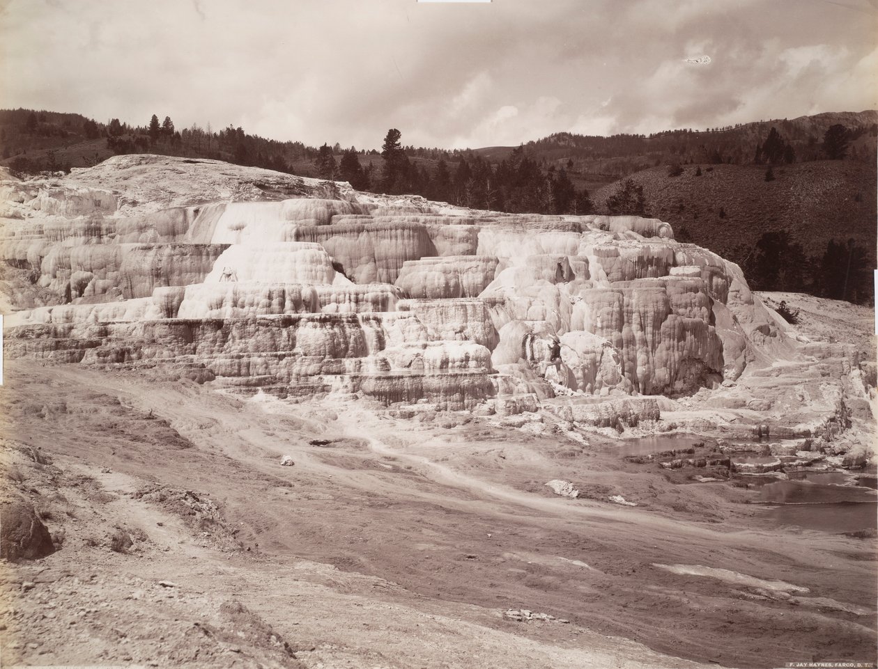 Minerva Teras, Mamut Kaplıcaları by Frank Jay Haynes