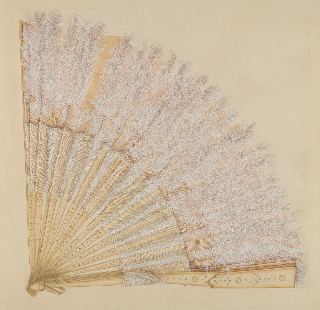 Fan by Frank Maurer