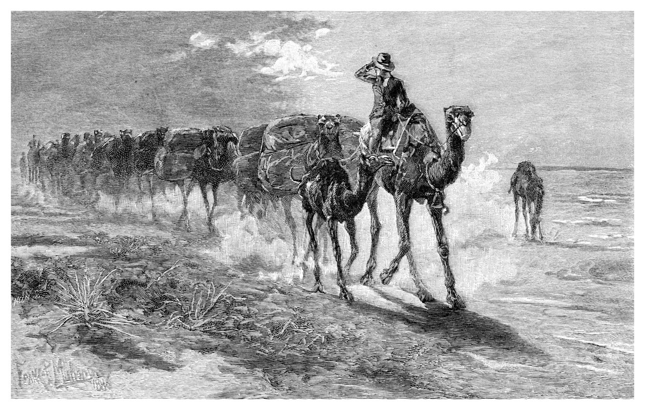 Yün taşıyan develer, 1886. by Frank P. Mahony