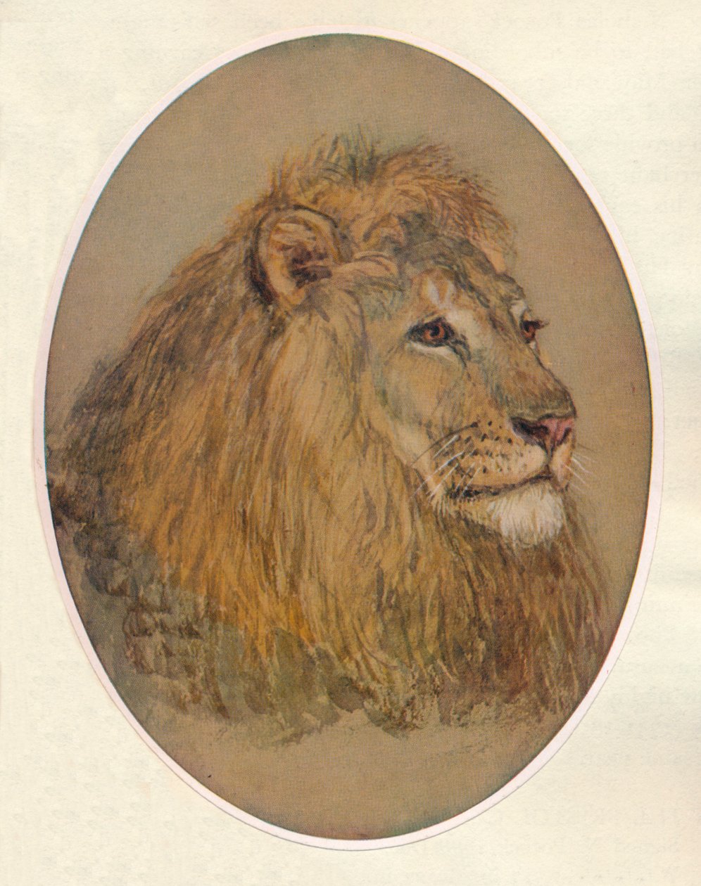Aslan Kafası, c1896 by Frank Paton