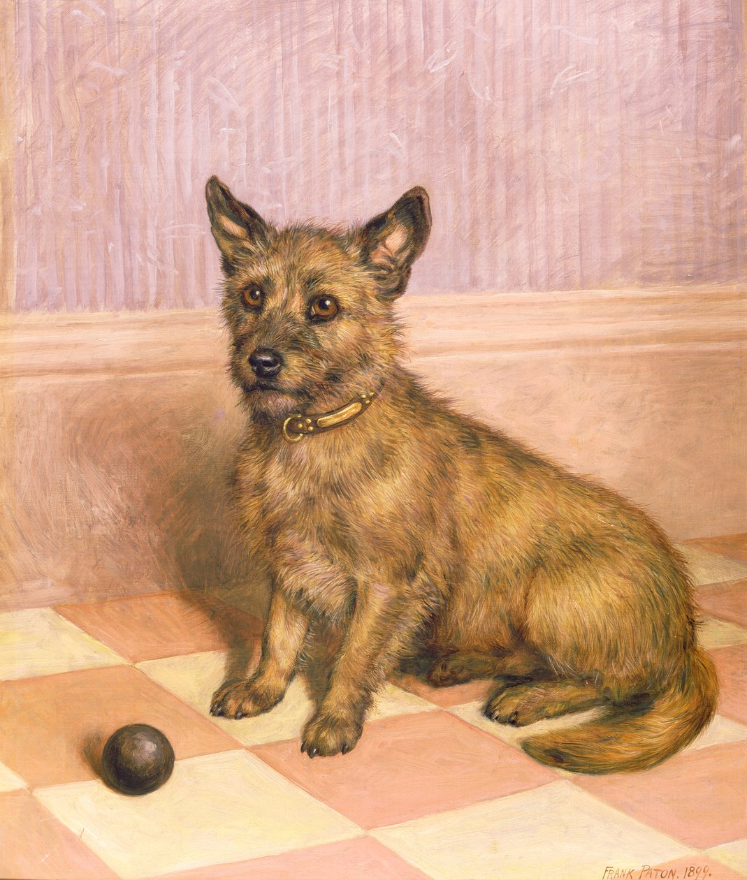 Oynamak için bekliyorum, bir top (yağ) ile bir Cairn terrier by Frank Paton