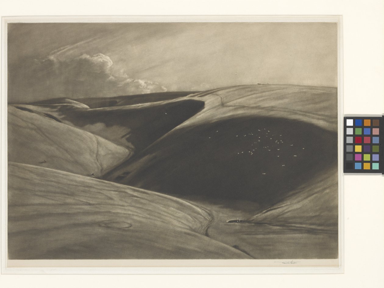 Gölgeli Vadi (hindistan kağıt chine collé üzerine mezzotint) by Frank Short