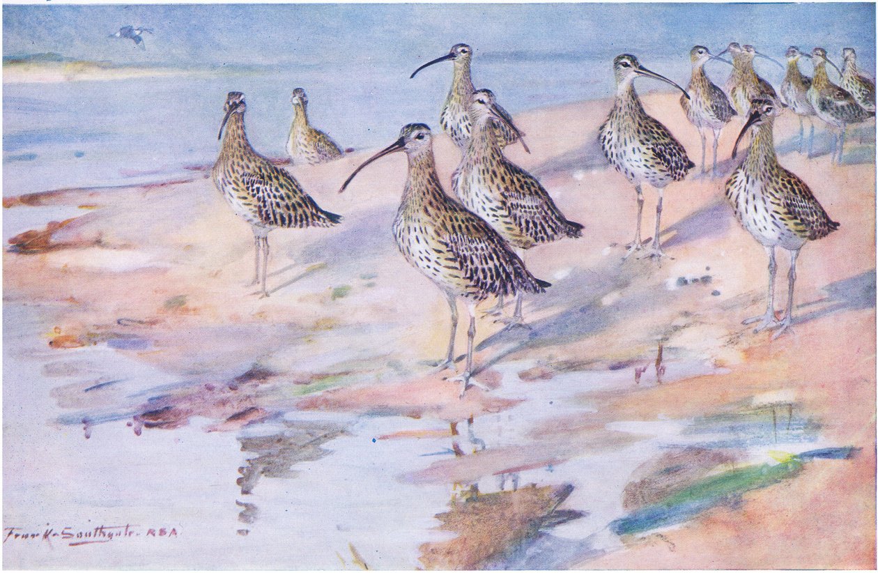 Blakeney Point