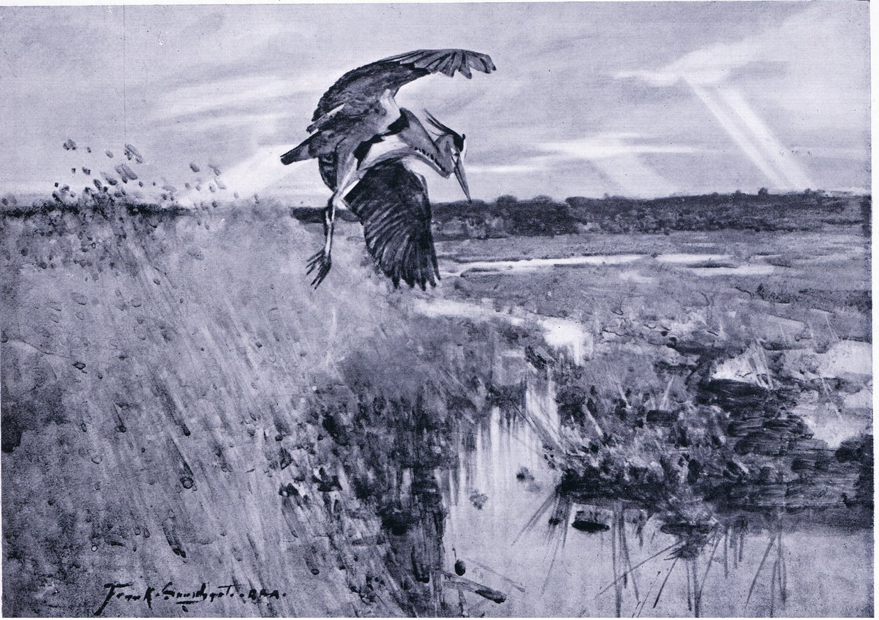 Jack Harnser-Heron by Frank Southgate