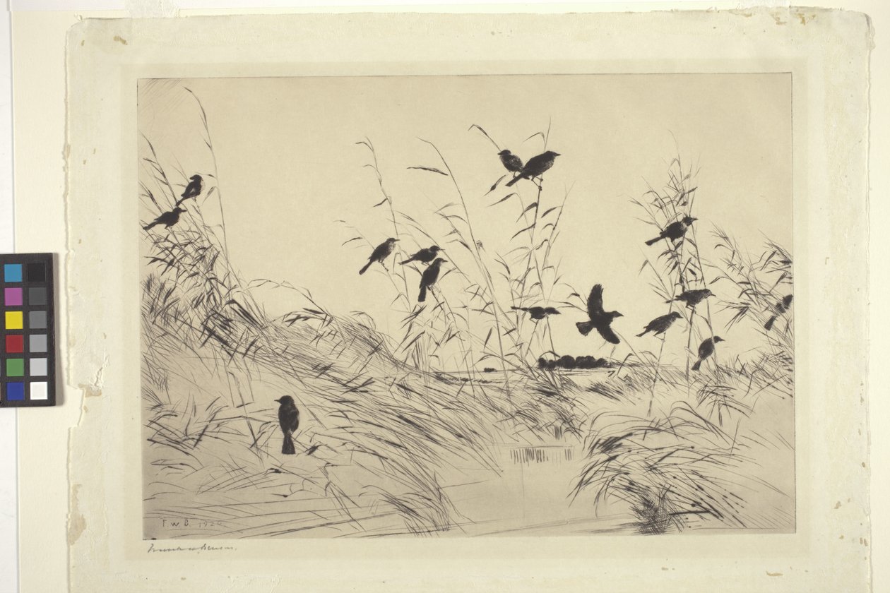 Blackbirds And Rushes (kağıt üzerine mürekkep) by Frank Weston Benson