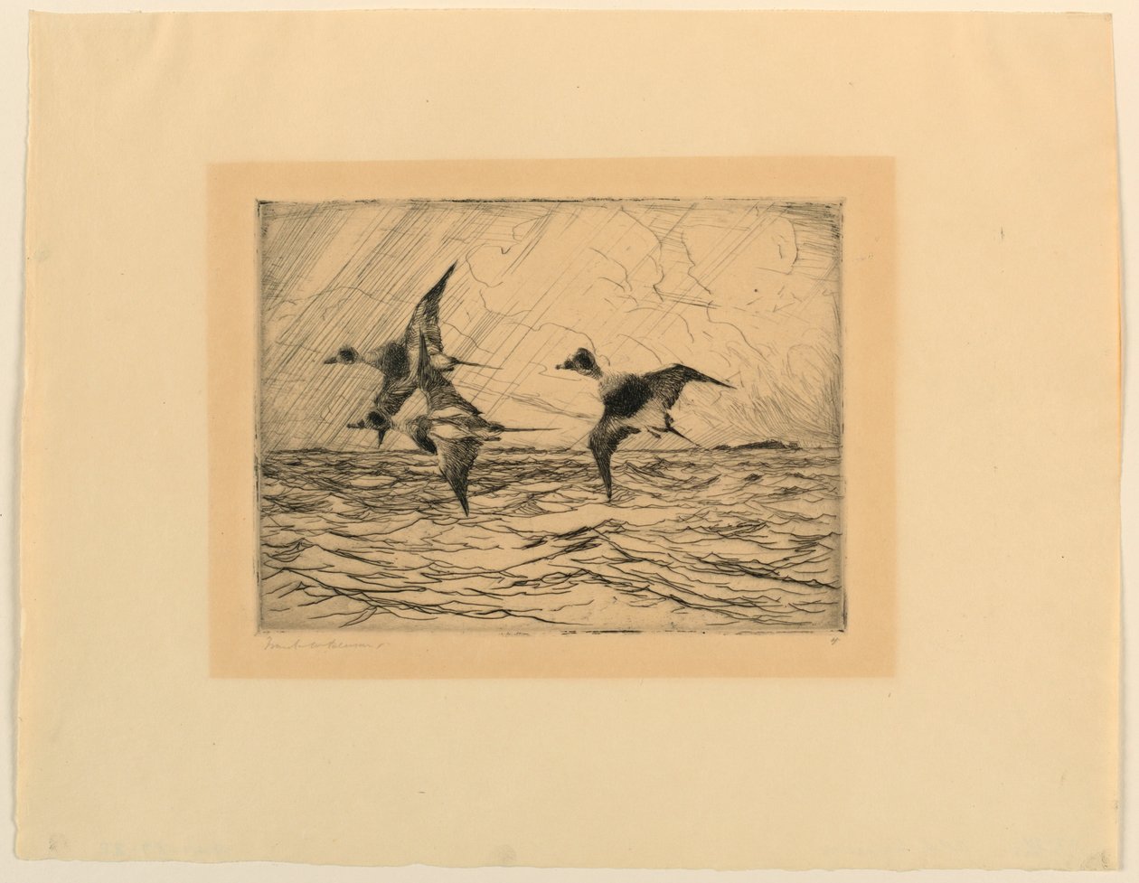 Eski Kargalar by Frank Weston Benson