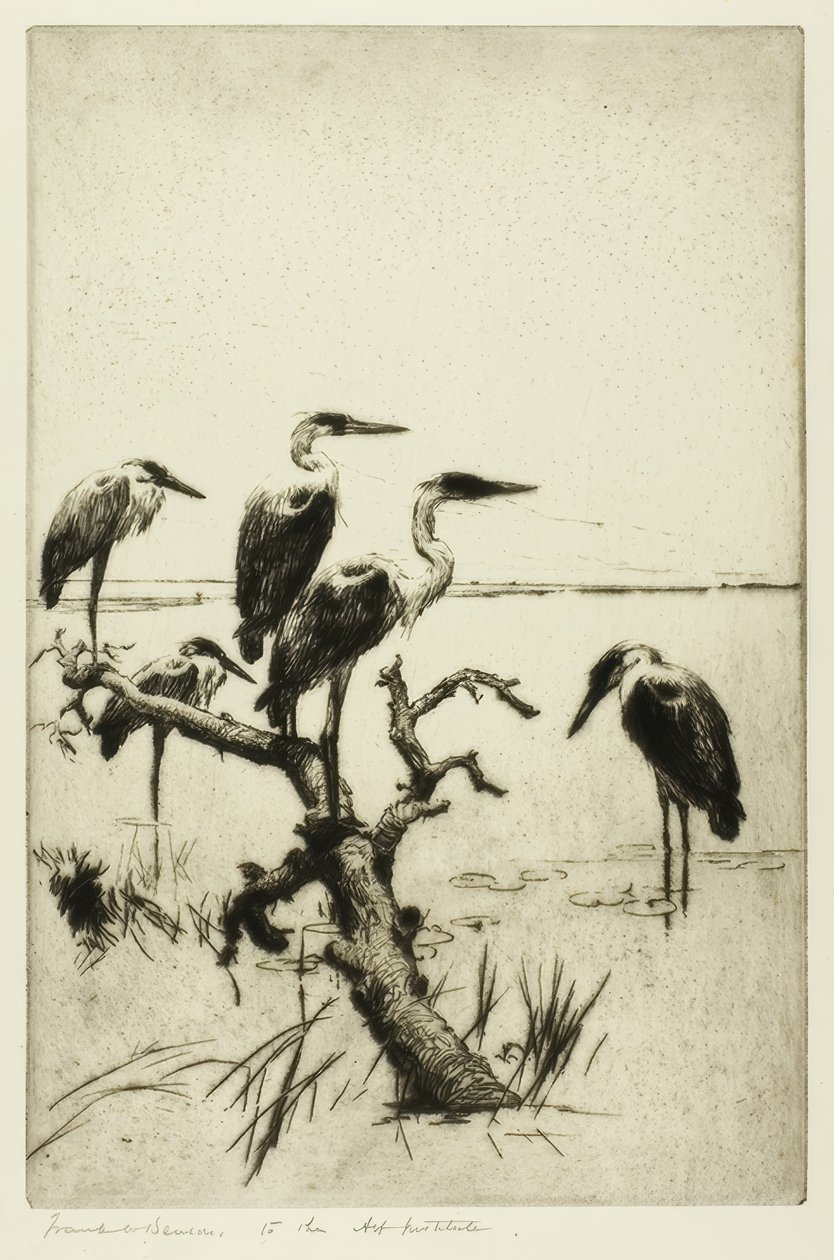 balıkçıllar by Frank Weston Benson