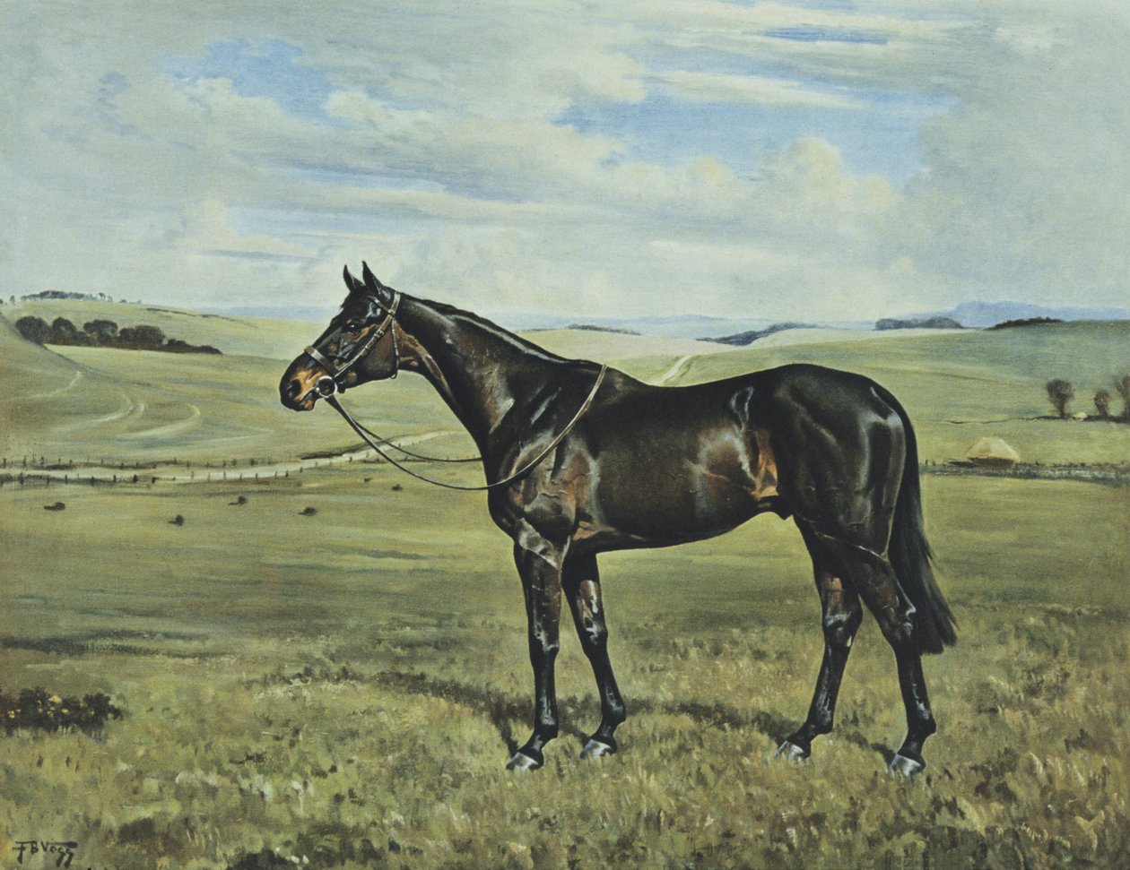  by Franklin Brooke Voss
