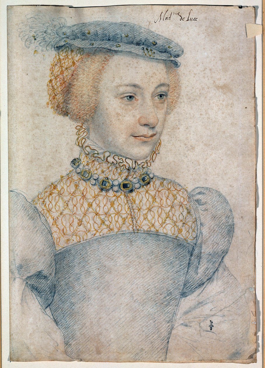 Lucé Lordu Louis de Coesmes