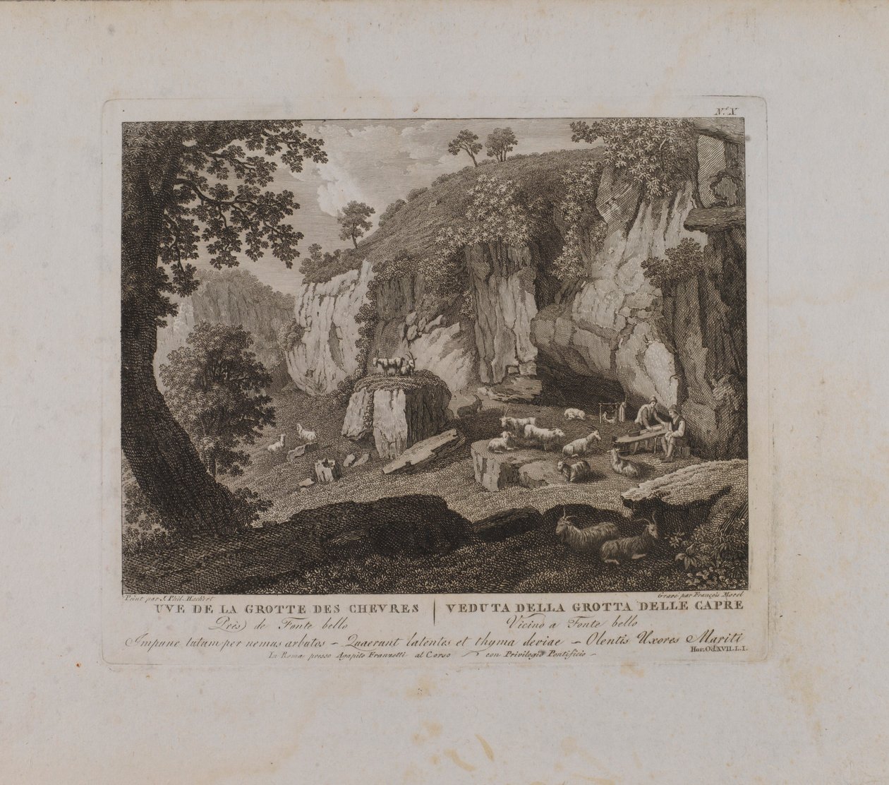  by François Morel