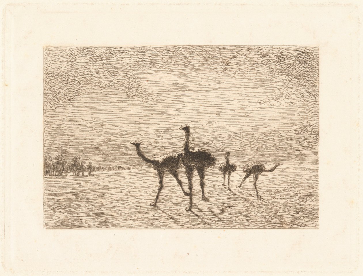 Çölde Devekuşları by François Nicolas Auguste Feyen Perrin