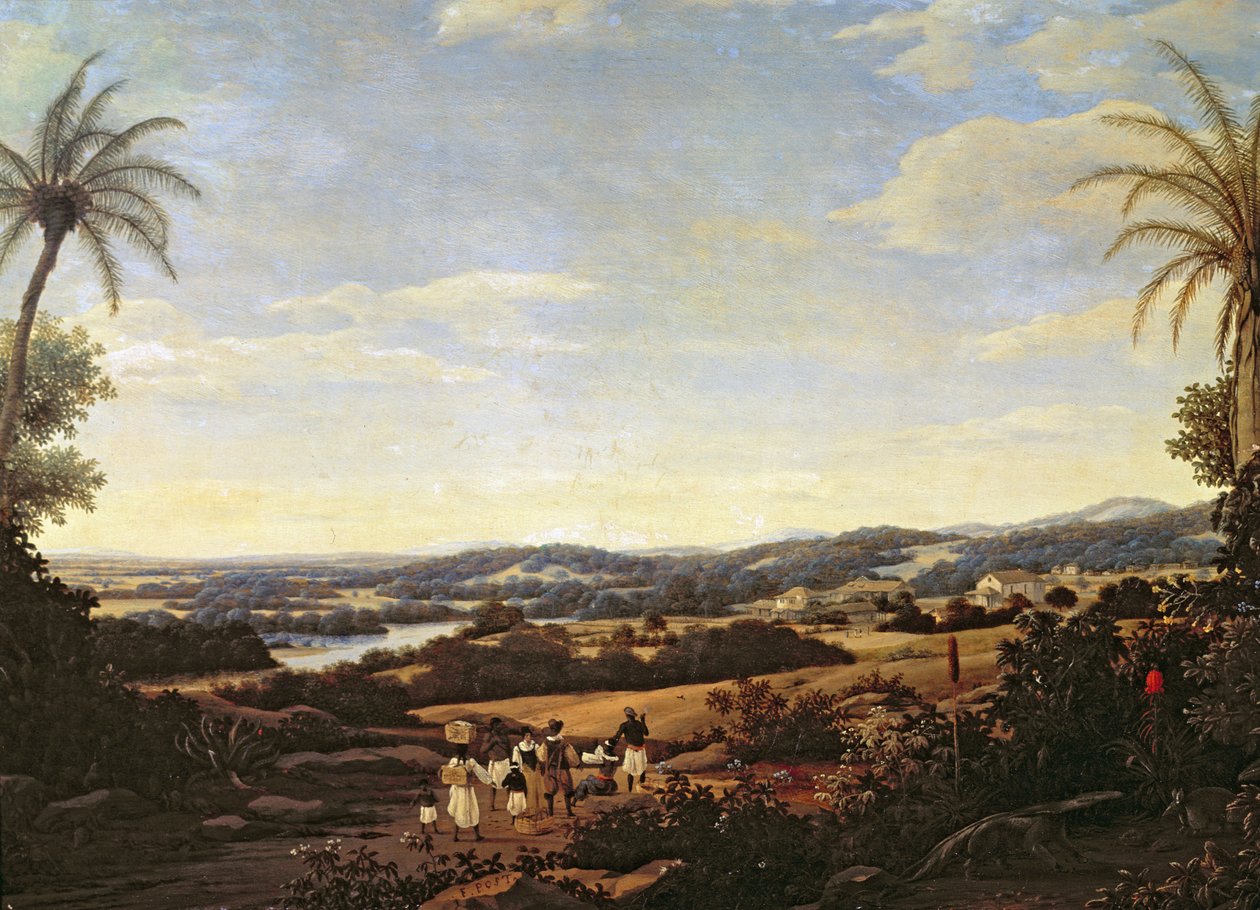 Brazilian Landscape with a Plantation  by Frans Post