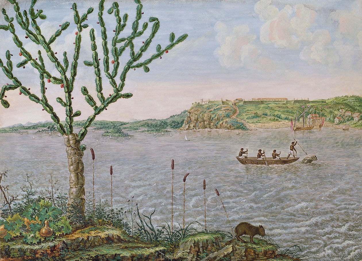 View of Fort Maurice on the Rio San Francisco (pen und ink and wc on paper) by Frans Post
