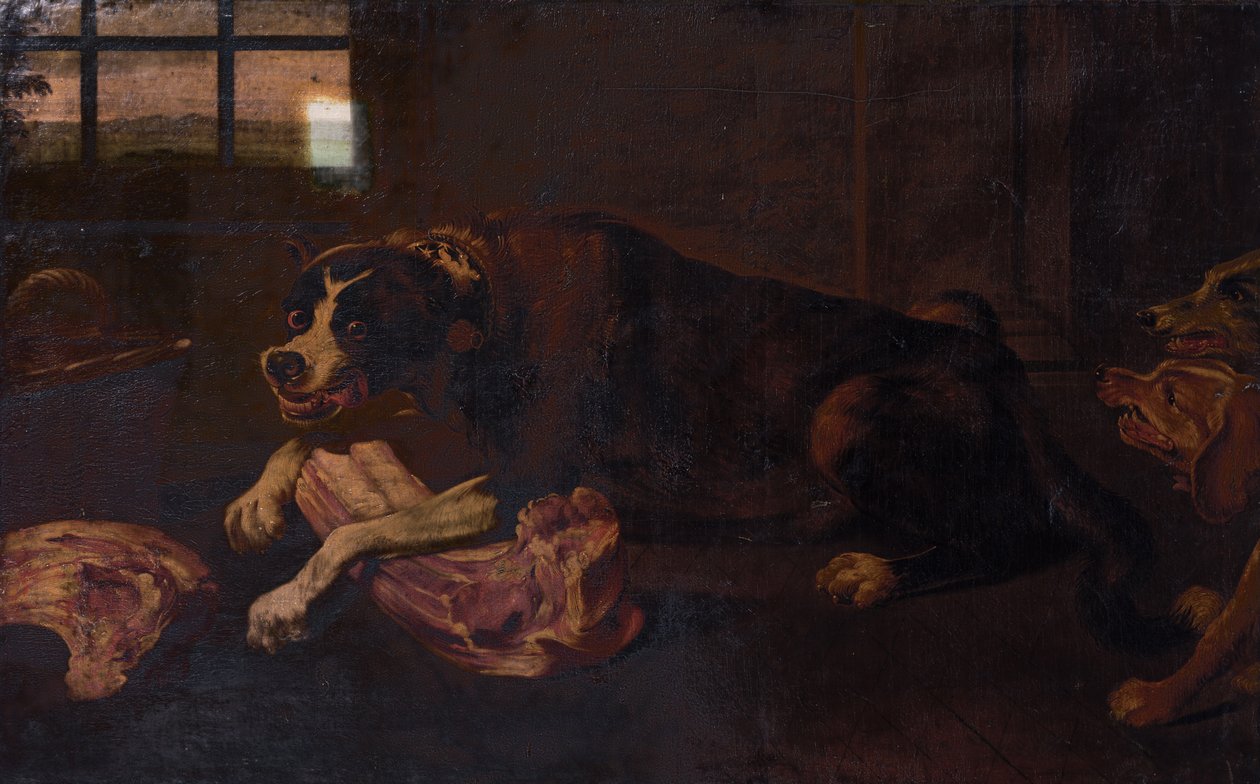 Etin Eklemlerini Kemiren Köpekler by Frans Snyders or Snijders