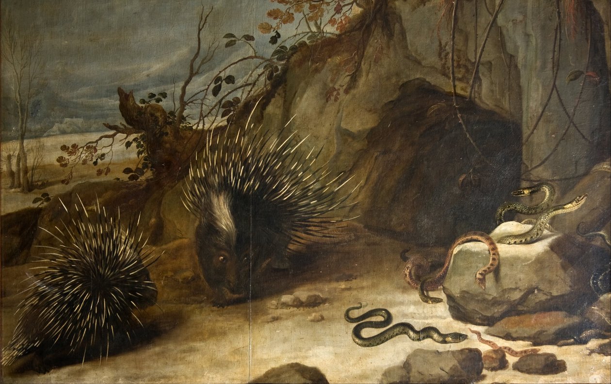Kirpiler ve engerekler by Frans Snyders or Snijders