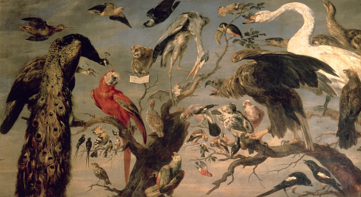 kuş konseri by Frans Snyders or Snijders
