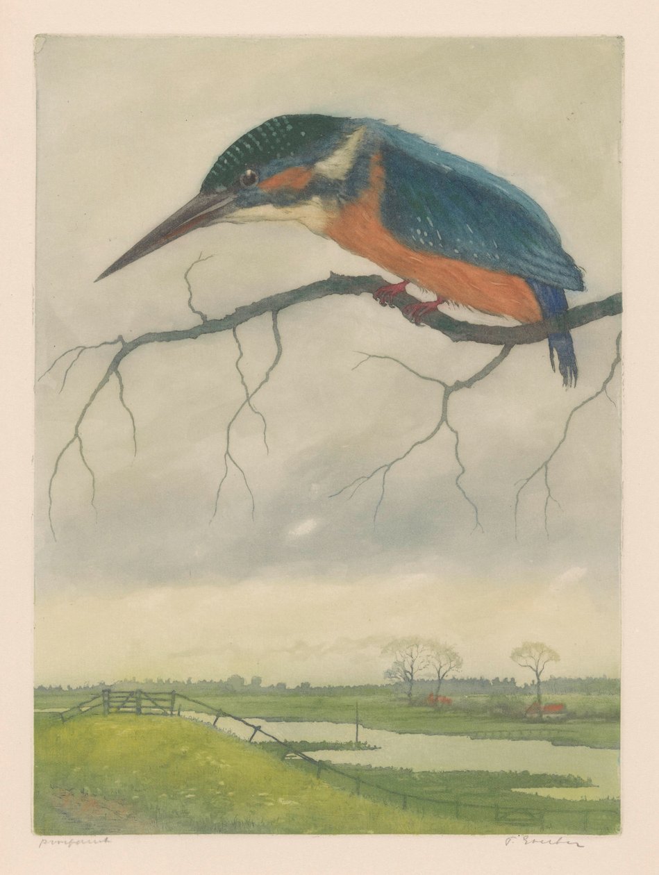 Çayır manzarasında bir dalda yalıçapkını by Frans Everbag (signed by artist)