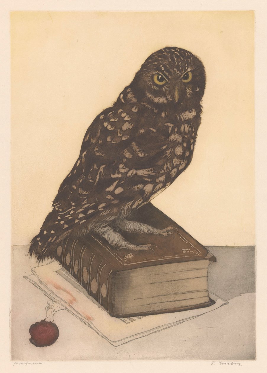 Bir kitap üzerinde oturan baykuş by Frans Everbag (signed by artist)