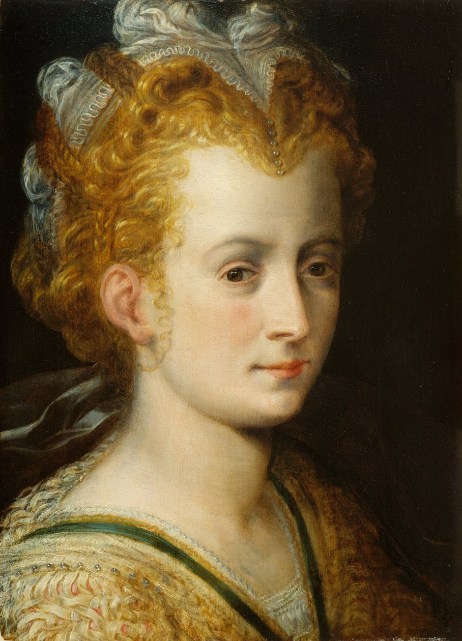 Genç Bir Kadının Başı, c.1555 by Frans Floris