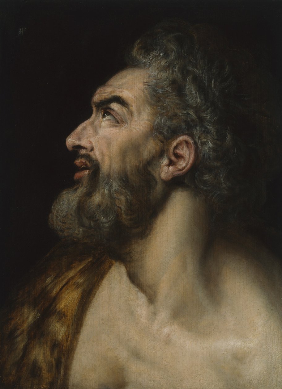 Sakallı bir adamın çalışma başı, c.1565 (panelde yağlı boya) by Frans Floris