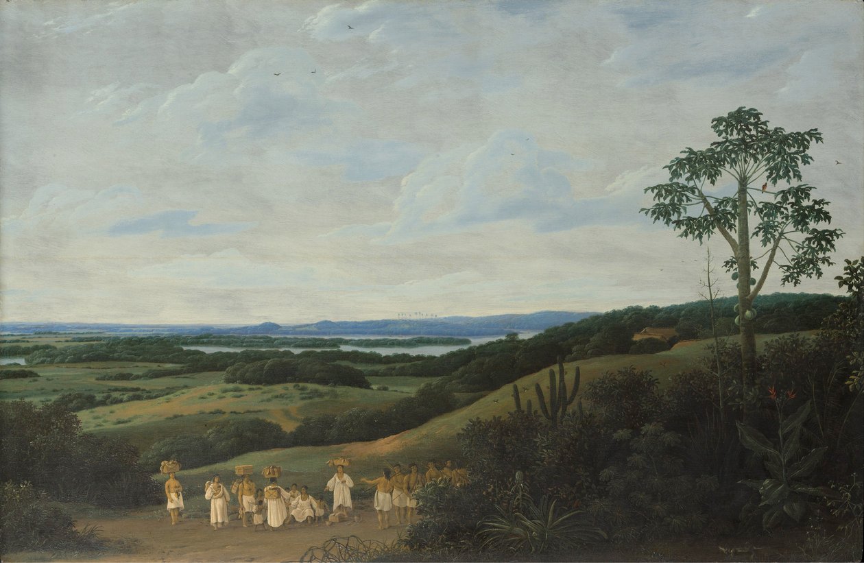 Brezilya Manzarası by Frans Post
