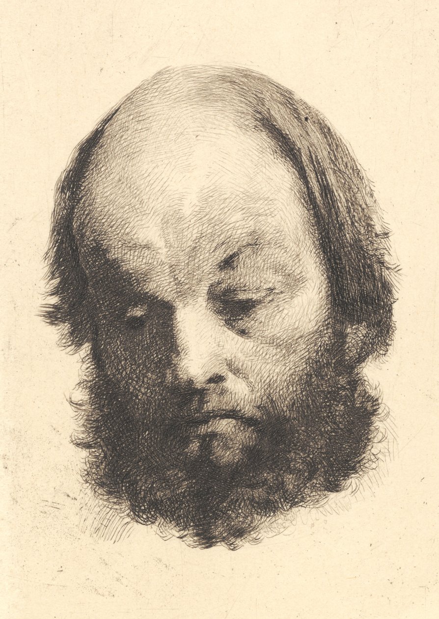 Kara sakallı adam, Garibaldi by Frans Schwartz