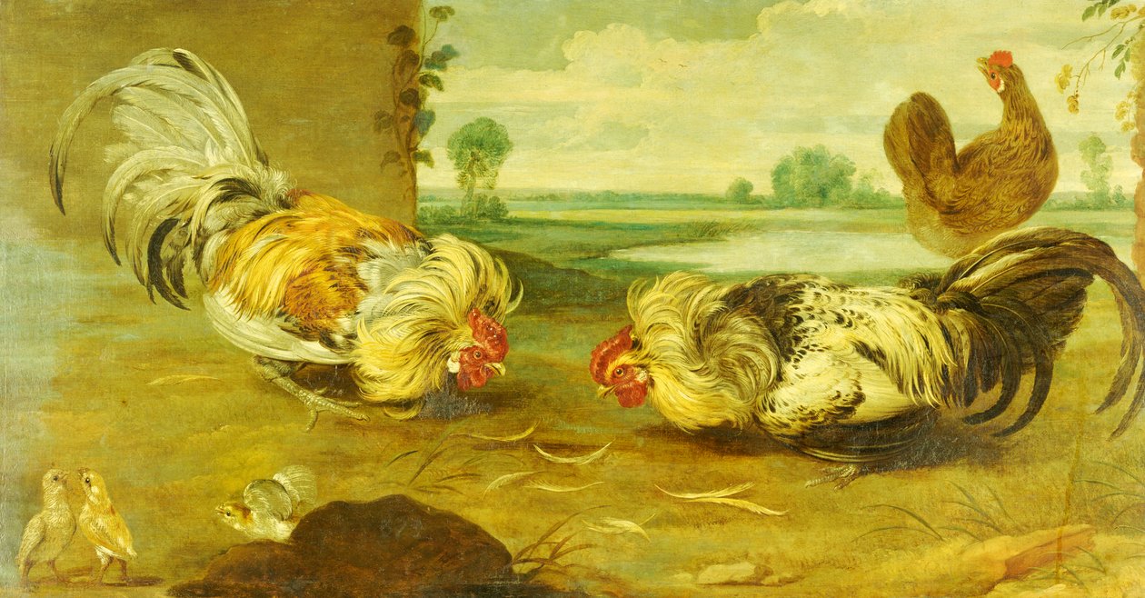horoz dövüşü by Frans Snyders or Snijders