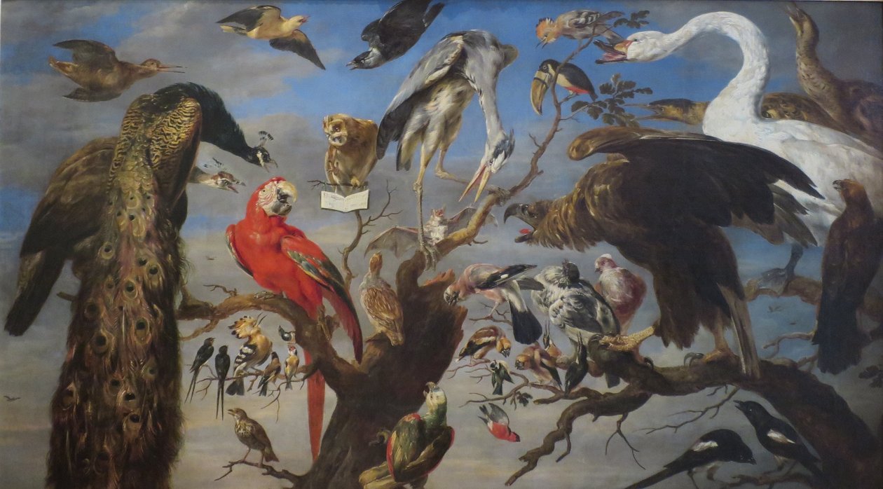  by Frans Snyders