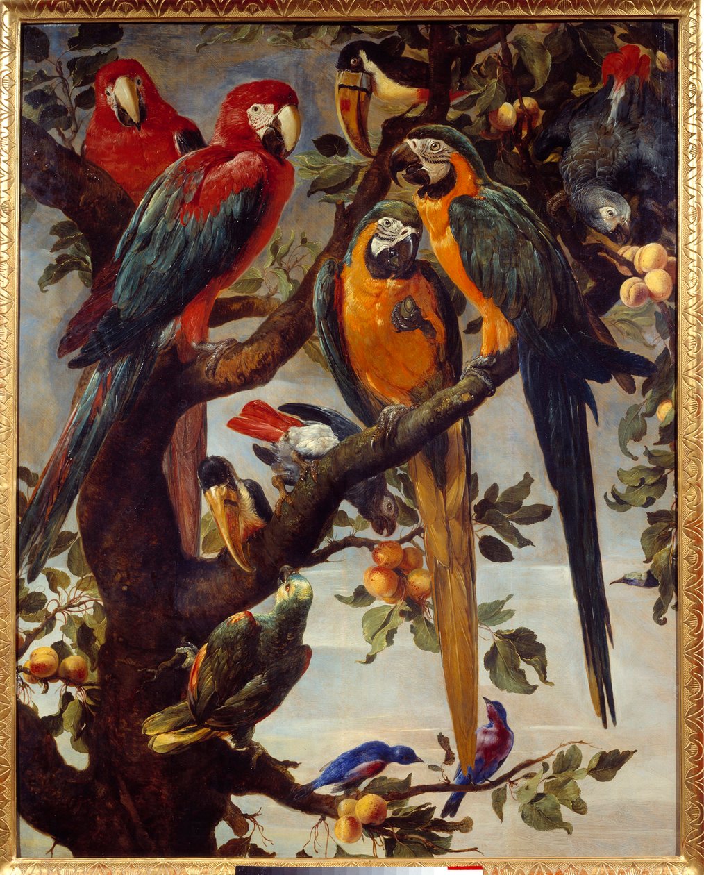 Papağanlar ve diğer kuşlar Boyama Frans Snyders (1579-1657) 17. yüzyıl Güneş. 1,22x0,98 m Grenoble, Musee des Beaux Arts by Frans Snyders
