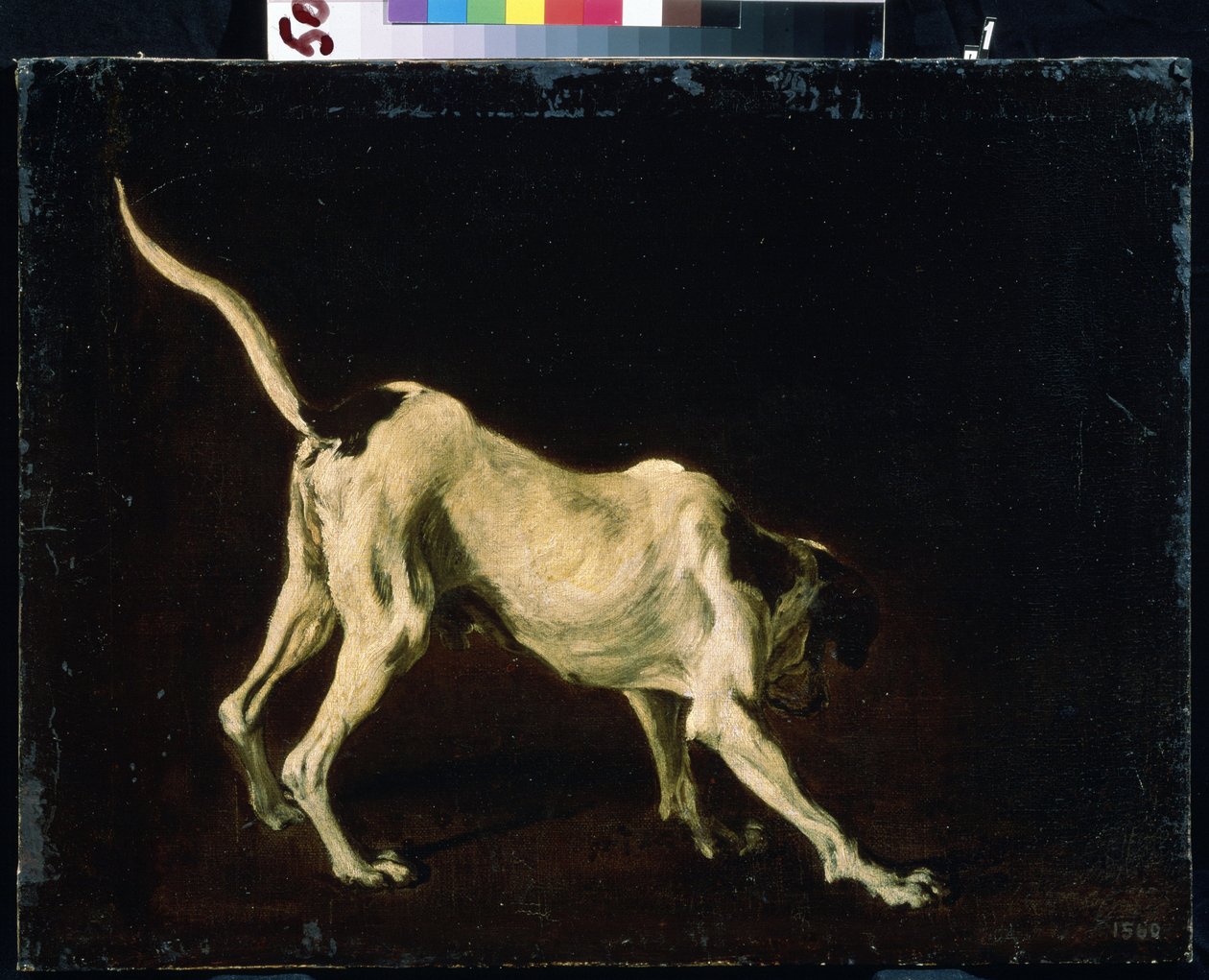 Köpek (Bir köpek). Frans Snyders