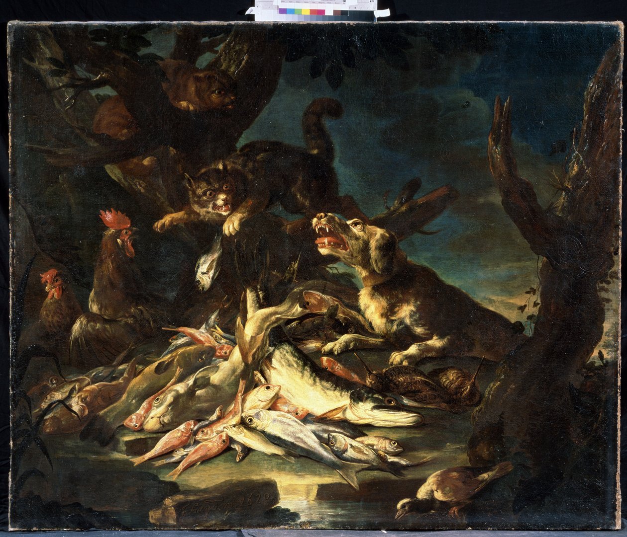 Balık (Balık). Frans Snyders