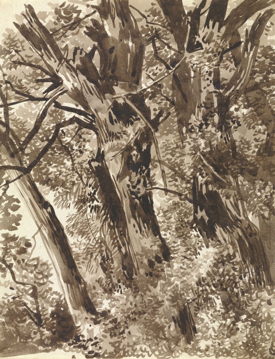 Gövdeler ve Dallar by Franz Innocenz Kobell