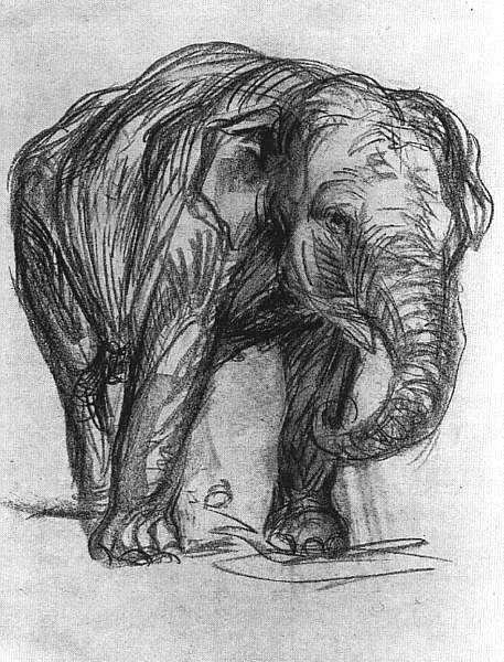 Fil by Franz Marc