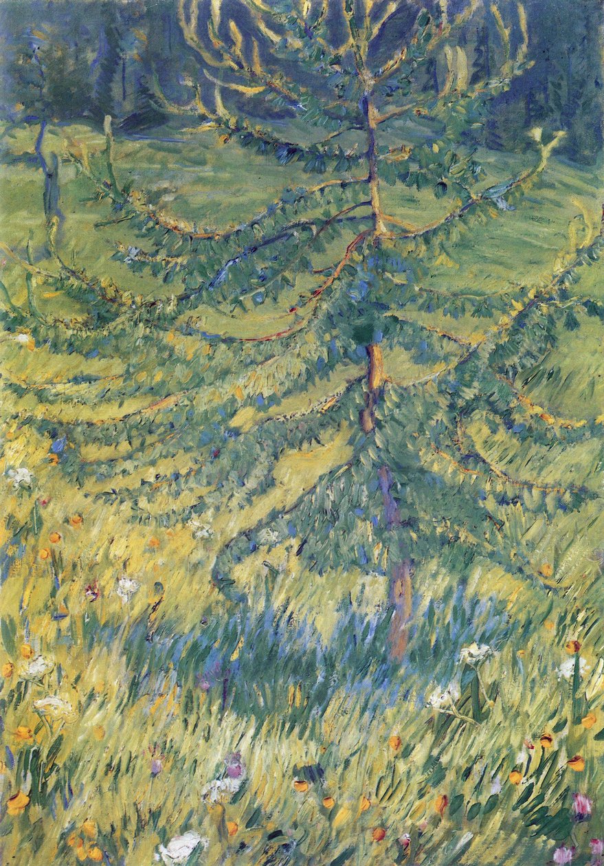 Karaçam ağaçları by Franz Marc