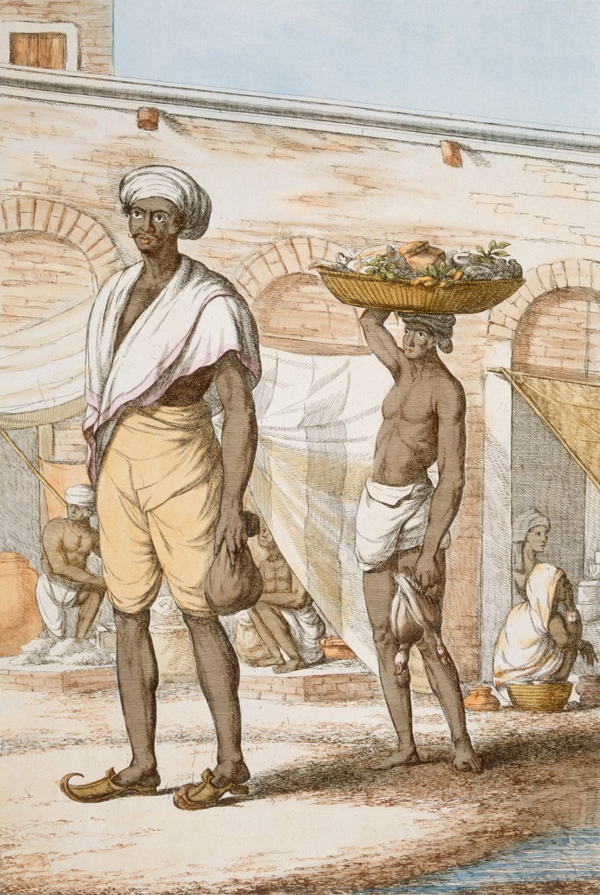 Hindu vale veya yiyecek alıcısı, 