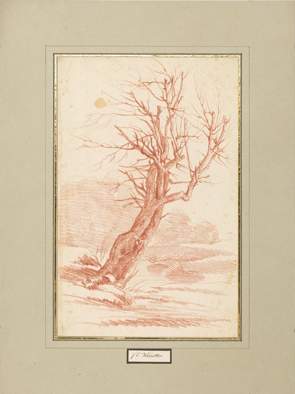  by Franz Edmund Weirotter