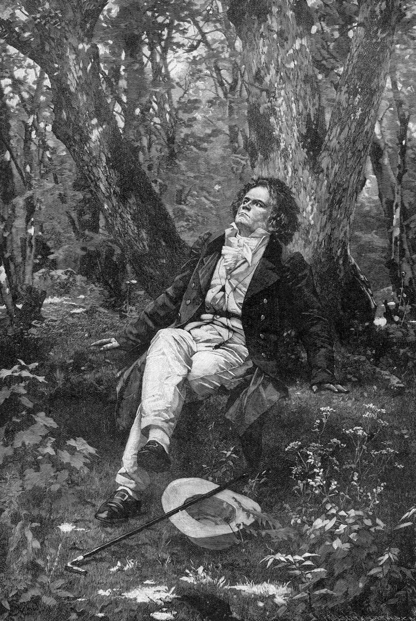 Beethoven, 1906 by Franz Hanfstaengl