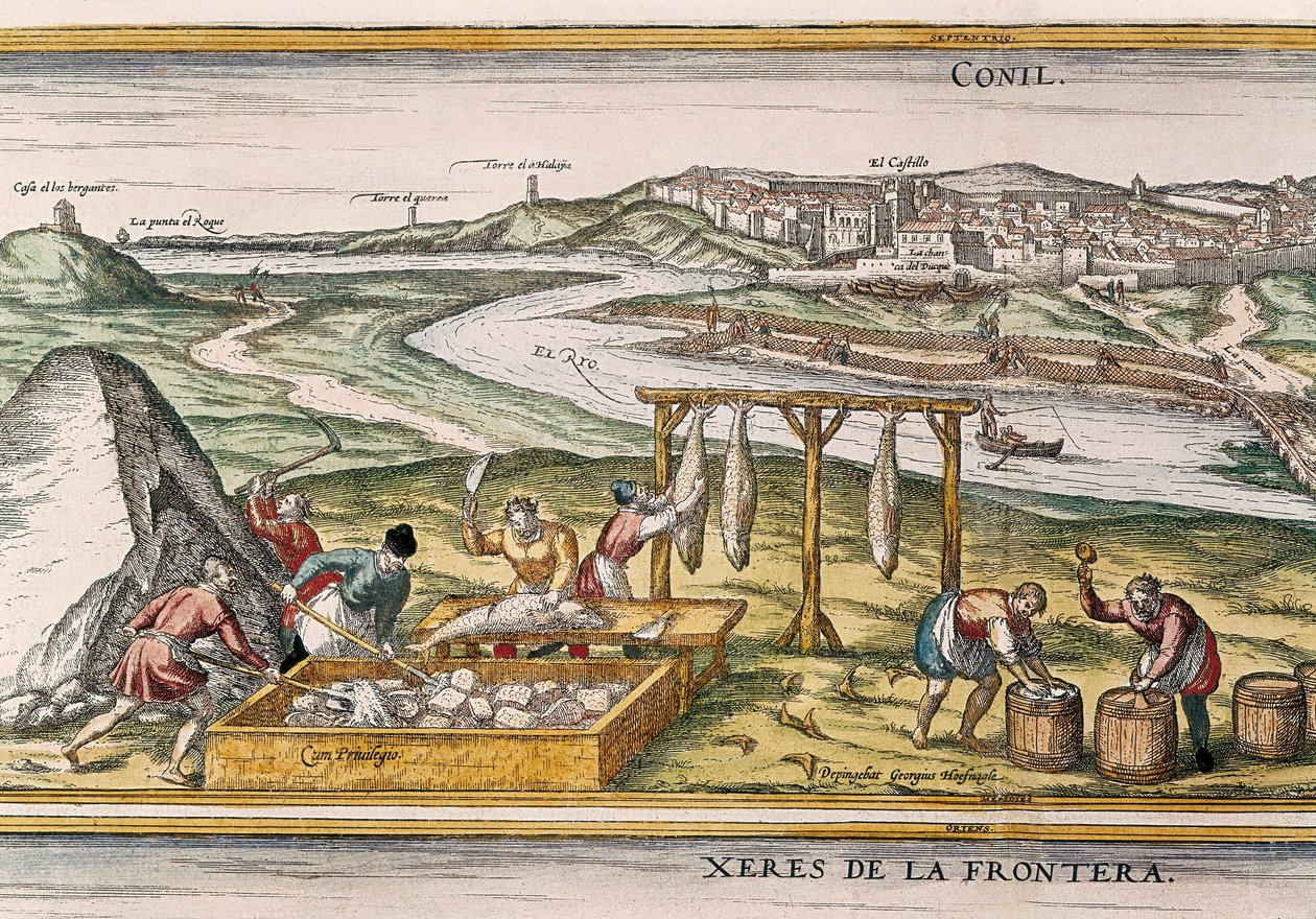 Conil de la Frontera, balıkçılar balığı kurutur, keser, satar ve "Civitatis Orbis Terrarum"dan satılık fıçılarda paketler. by Franz Hogenberg