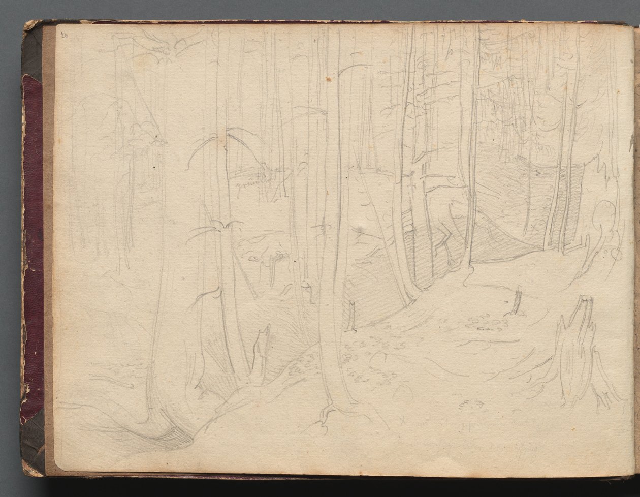  by Franz Johann Heinrich Nadorp